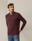 STATE OF ART PULLOVER BASIS MET V-HALS DONKERROOD
