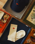 FORÉT CAP FLAG WASHED CAP NAVY