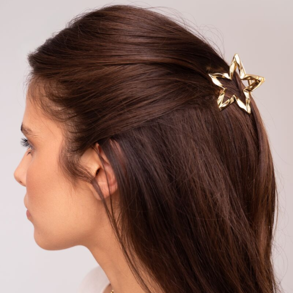 MY JEWELLERY HAARACCESSOIRES CLIPS DIVERSE KLEUREN/MODELLEN