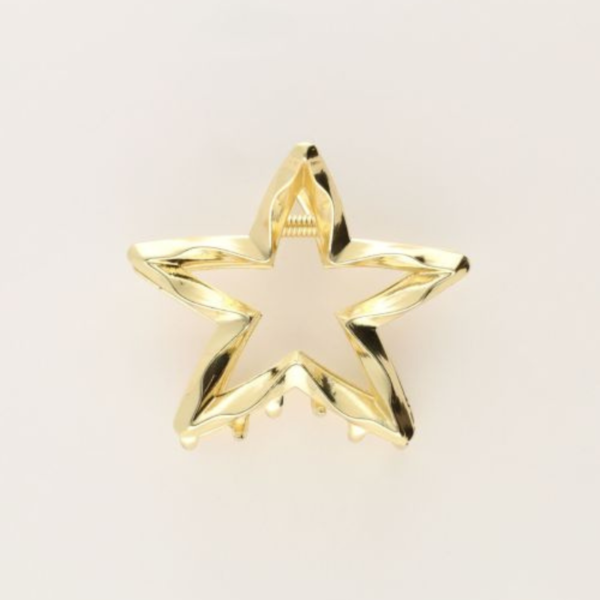 MY JEWELLERY HAARACCESSOIRES CLIPS DIVERSE KLEUREN/MODELLEN
