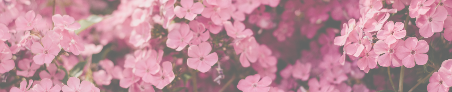 CC Heart By Coster Copenhagen