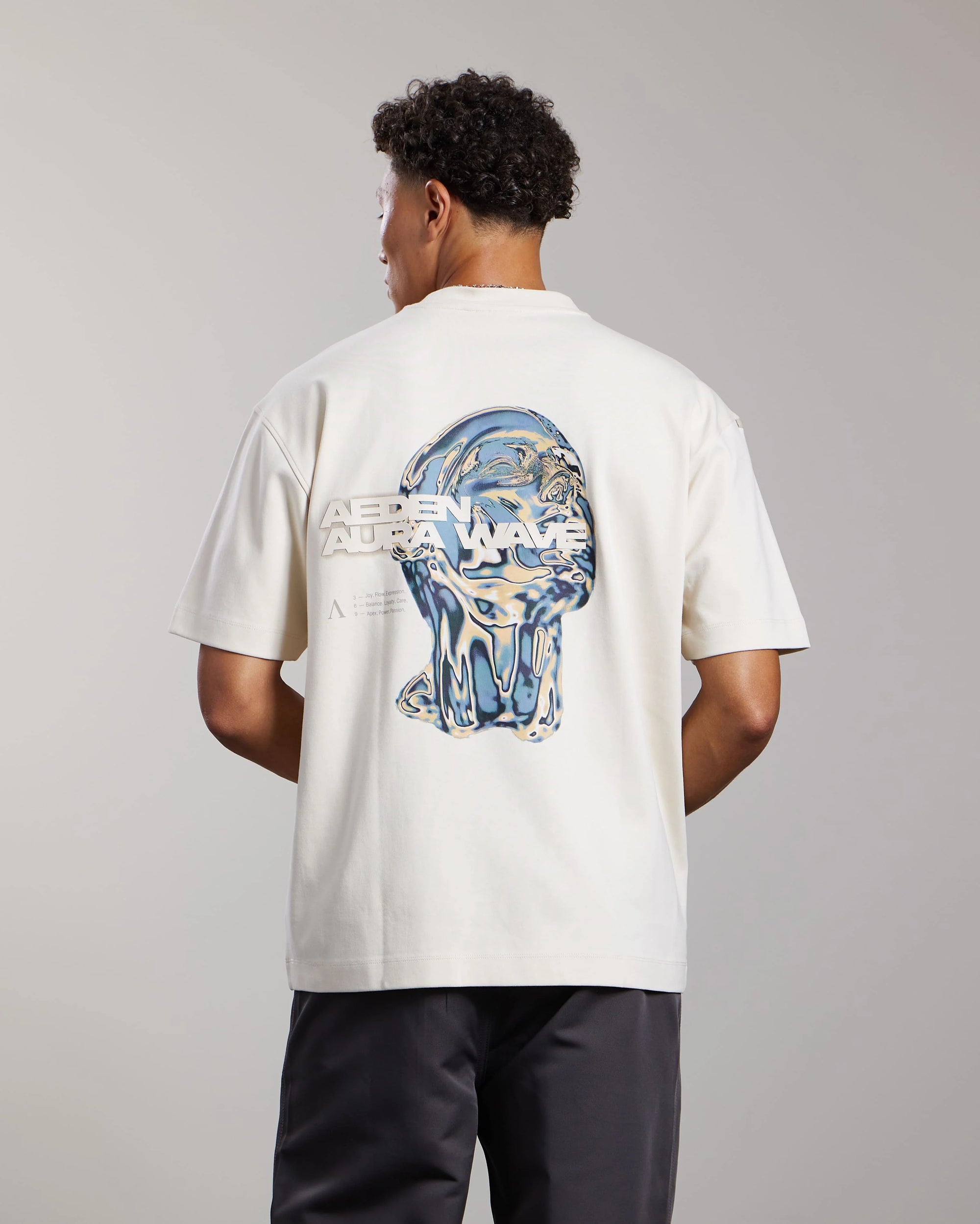 AEDEN T-SHIRT LUMA TEE WHITE CAP GREY