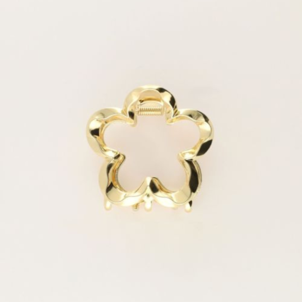 MY JEWELLERY HAARACCESSOIRES CLIPS DIVERSE KLEUREN/MODELLEN